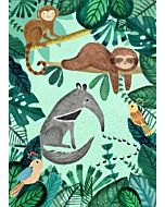 Kinderposter Luiaard Jungle (50 x70cm) Petit Monkey