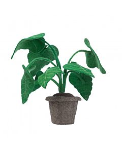 Plant Alocasia Vilt Kidsdepot