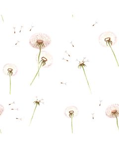 Kinderbehang Paardenbloemen Dekornik