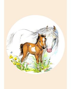 Kinderposter Paard Wit met Veulen Designed4Kids