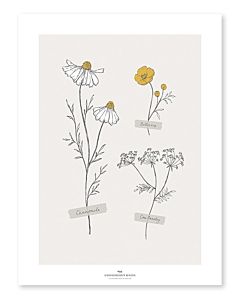 Kinderposter Wilde Bloemen Lilipinso