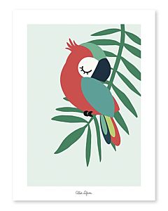 Kinderposter Papegaai Groen Lilipinso
