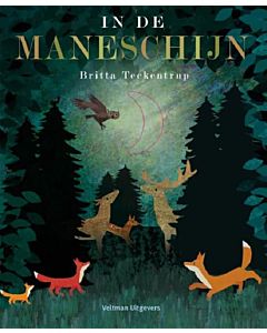 In de Maneschijn - Britta Teckentrup - Uitgeverij Veltman